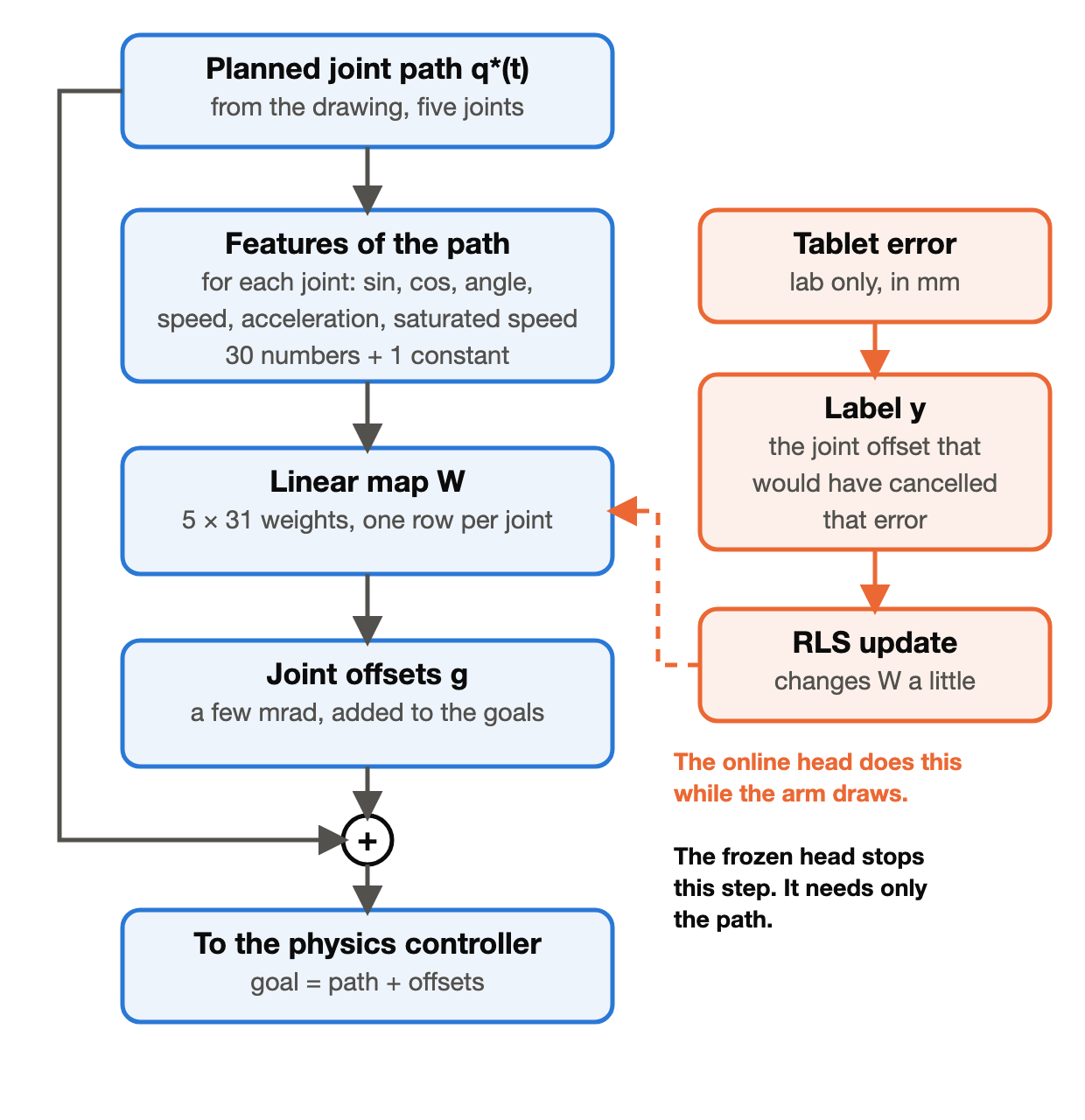 Block diagram of the correction head. The planned joint path gives 31 features, which a 5 by 31 linear map W turns into joint offsets. The offsets are added to the path and go to the physics controller. In the lab, the tablet error becomes a label, and an RLS update changes W. The frozen head skips this step.