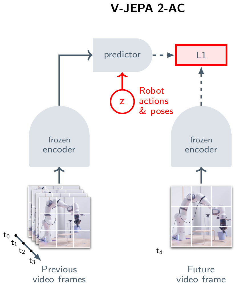 Diagram of V-JEPA 2-AC: previous video frames pass through a frozen encoder into a predictor that also receives robot actions and poses; the prediction is compared with the frozen encoding of the future frame using an L1 loss.